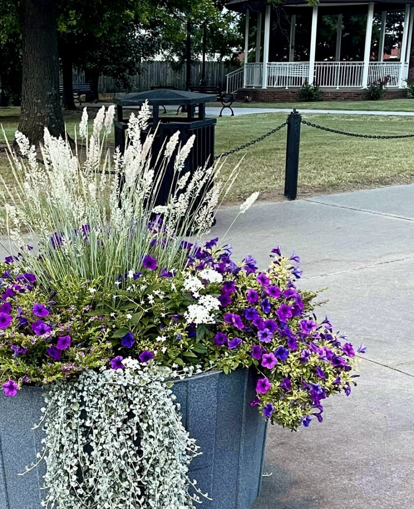 Flowers in a planter prepared by the beautification committee